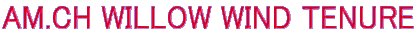 AM.CH WILLOW WIND TENURE